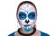 Blue White Skull Mask