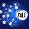 Blue and white snowflakes sale banner