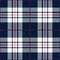 Blue And White Tartan Plaid Traditional Scottish Textile Pattern