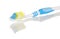 Blue and White Toothbrush