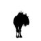 Blue Wildebeest- Silhouette