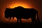 Blue wildebeest stands in silhouette on horizon