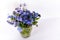 Blue wildflowers in a glass cup against a white wall. White background. Forget me nots.