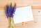 Blue wildflowers lupine and empty card for your text