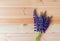 Blue wildflowers lupine on wooden background.