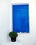 Blue window and basil flowerpot