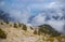 Blue Window in Mountain Sky and Large Clouds Nature Landscape Green Pine Trees