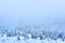 Blue winter landscape - mountain forest in a frosty haze