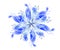 Blue Wispy Flower Blossoms