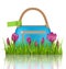 Blue woman spring bag with crocuses flowers and green label