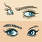 Blue womens eyes