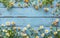 Blue Wooden Background With Daisies