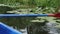 Blue wooden paddle over water. Paddle raised above water on lake in city park. Paddle rows on lake with water lilies and sedge. Cl