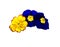Blue and Yellow bicolored Primrose Blossoms Cut out
