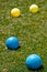 Blue and Yellow Bocce Balls in Green Grass
