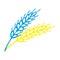 Blue and yellow Spikelet of wheat in doodle style. Simple black and white sketch of wheat, barley or rye stalk for bakery