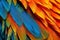 Blueandyellow_Macaw_Ara_ararauna_feathers_1690601511687_4