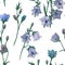 Bluebell or Bellflower Campanula hand-drawn watercolor illustration, seamless pattern