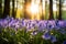 Bluebell Bliss: A Field of Vibrant Blue Blossoms, Nature\\\'s Symphony in Shades of Azure