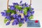 Bluebell flowers bouquet in wicker basket