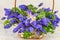 Bluebell flowers bouquet in wicker basket