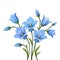 Bluebell flowers. Vector illustration.