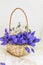 Bluebell and spring flowers bouquet in wicker basket