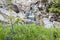 Bluebells close to River Nevis, Scotland