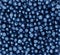 Blueberries, background