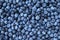 Blueberries background