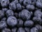 Blueberries background