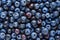 blueberries background, a lot of blueberries