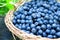 Blueberries basket closeup