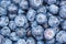 Blueberries berries fruits blueberry berry bilberry bilberries fruit background