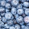 Blueberries berries fruits blueberry berry bilberry bilberries fruit background square