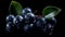 Blueberries on a black background. Beautiful berries on glass. With green leaves.