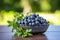 Blueberries in a black bowl. Biologically active supplement - pills for healthy eyes on green luscious background