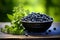 Blueberries in a black bowl. Biologically active supplement - pills for healthy eyes on green luscious background