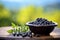 Blueberries in a Black Bowl. Pills for Healthy Eyes on Luscious Green Background