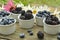 Blueberries and blackberries garden daisies on rustic wood table