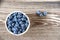 Blueberries bowl