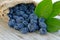 Blueberries in burlap bag