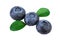 Blueberries diagonal composition isolated