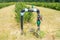 Blueberries field irrigation system