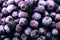 Blueberries frozen fruit