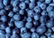 Blueberries fruit