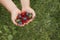 Blueberries, gooseberries, currants and strawberries in hand