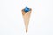 Blueberries and horn. Blueberry Blast. Photo of blueberries in a waffle cone. View from above. High Resolution Product