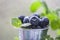 Blueberries, juicy wild berries in drops of water. Healthy food or nutrition