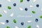 Blueberries, leaves and petals pattern on blue background. Top view. Valentine`s background. Floral pattern.